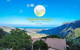 Magia Dell'Aspromonte